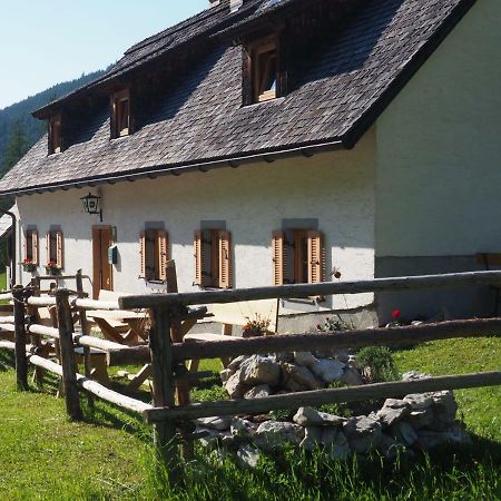 Zickerreith Almhutte Vandrarhem Rosenau am Hengstpass Exteriör bild