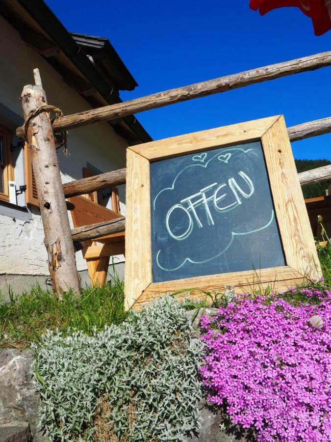 Zickerreith Almhutte Vandrarhem Rosenau am Hengstpass Exteriör bild