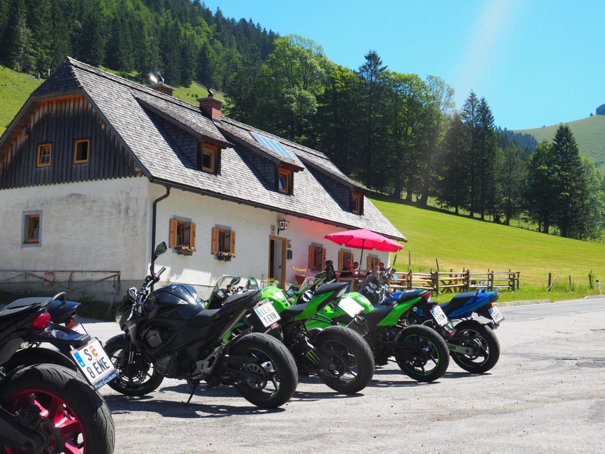 Zickerreith Almhutte Vandrarhem Rosenau am Hengstpass Exteriör bild