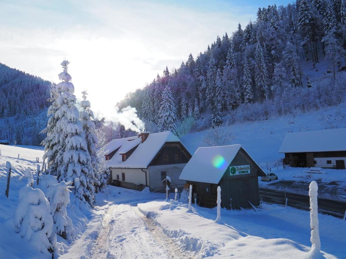 Zickerreith Almhutte Vandrarhem Rosenau am Hengstpass Exteriör bild