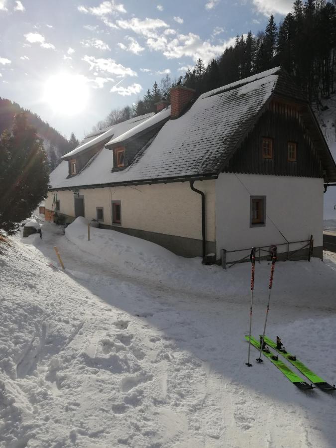 Zickerreith Almhutte Vandrarhem Rosenau am Hengstpass Exteriör bild